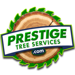 Prestige Tree Service