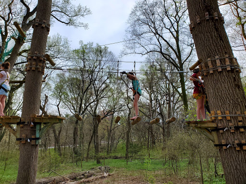 Treetop Quest Philly