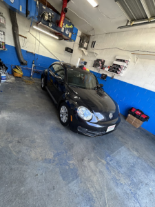 Wizard Oz Tint and Wrap